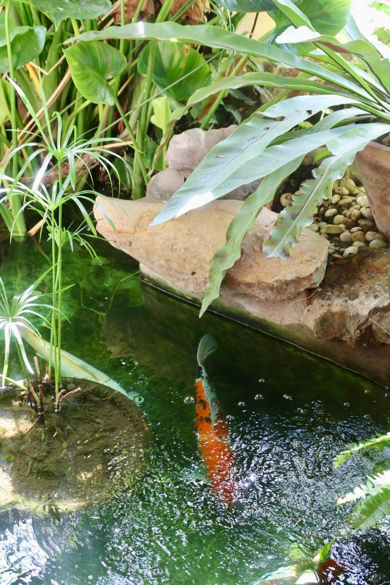 צ'יאנג מאי Banjai Garden Guesthouse מראה חיצוני תמונה